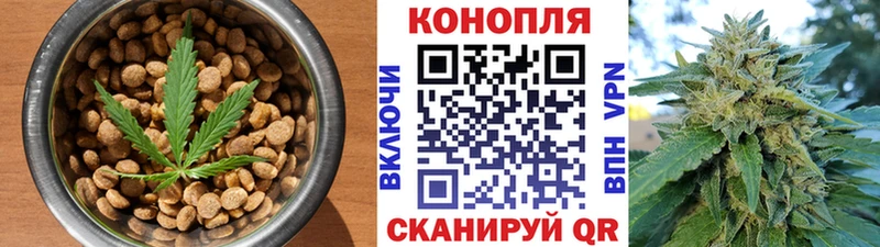 где купить Любим Печенье с ТГК марихуана