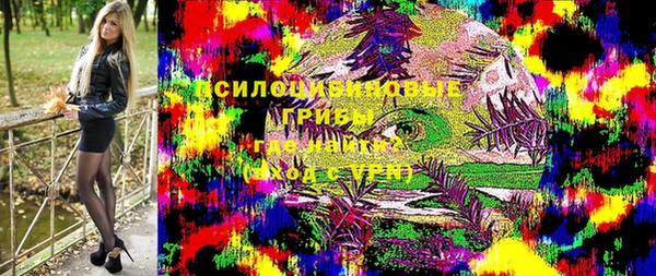 PSILOCYBIN Семёнов