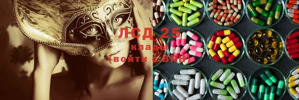 стаф Усинск