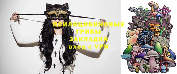 дурь Горно-Алтайск