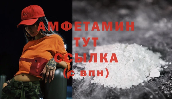 PSILOCYBIN Семёнов